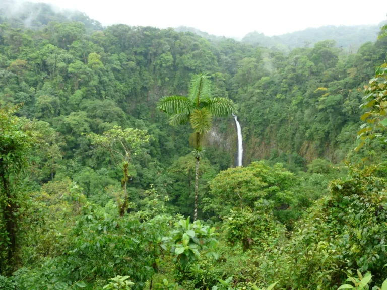 Diário de uma viagem à Costa Rica V