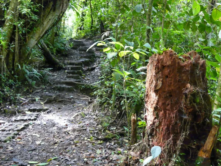 Diário de uma viagem à Costa Rica VIII