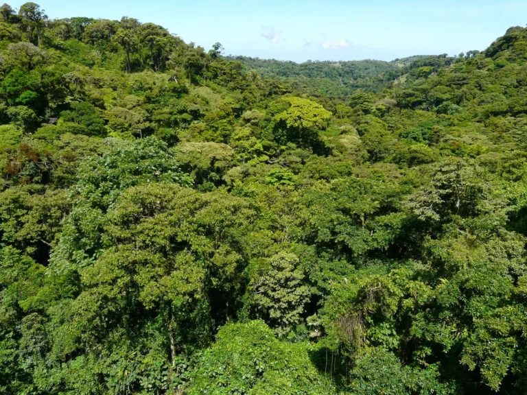 Diário de uma viagem à Costa Rica VII