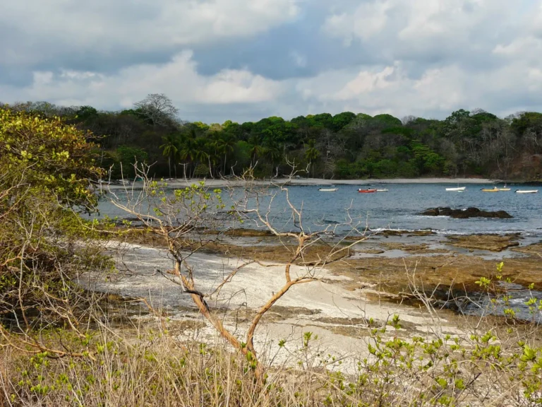 Diário de uma viagem à Costa Rica X