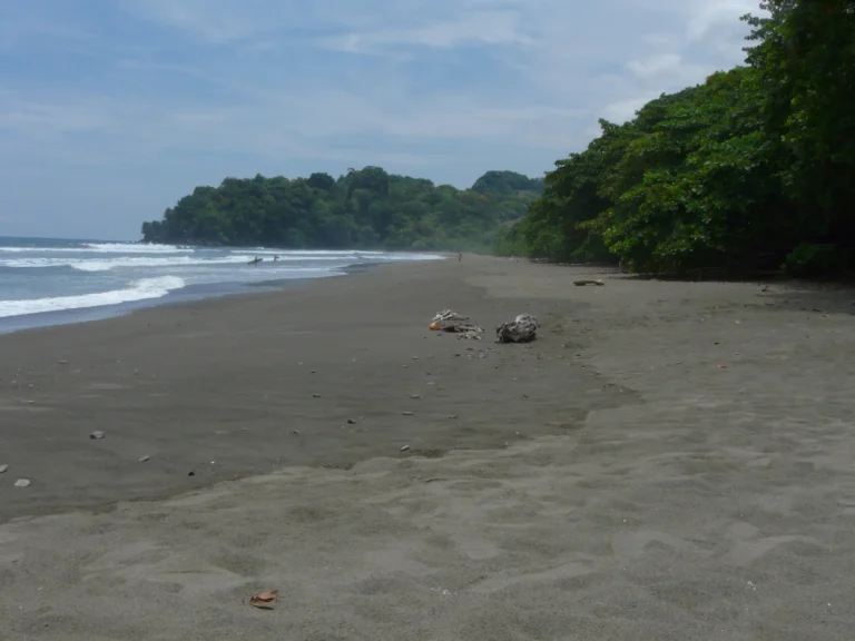 Diário de uma viagem à Costa Rica XIV