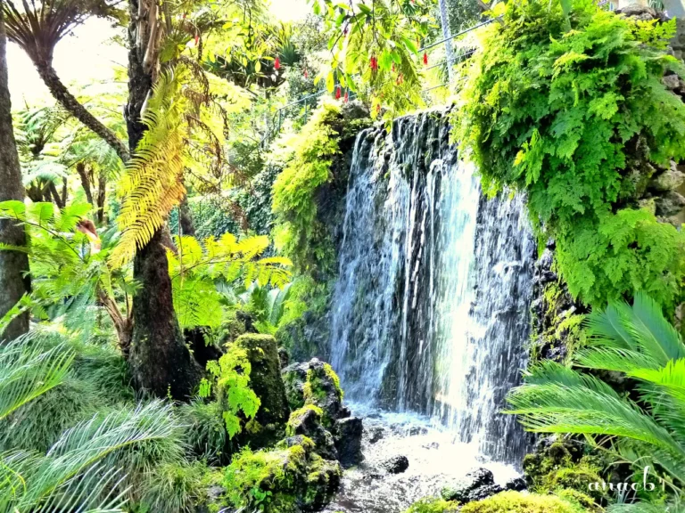 O Jardim Tropical Monte Palace