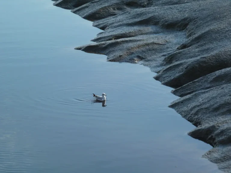 Passear a pé – Parque Linear Ribeirinho do Estuário do Tejo