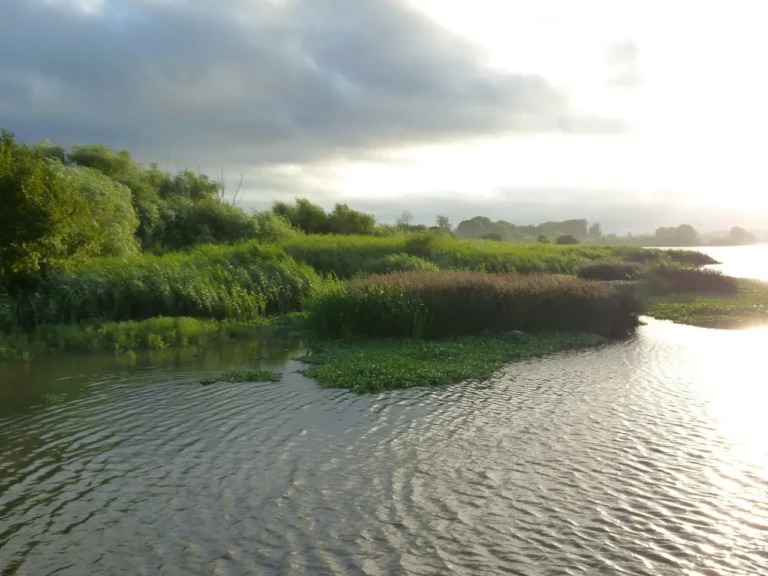 Pateira de Fermentelos, a lagoa tranquila