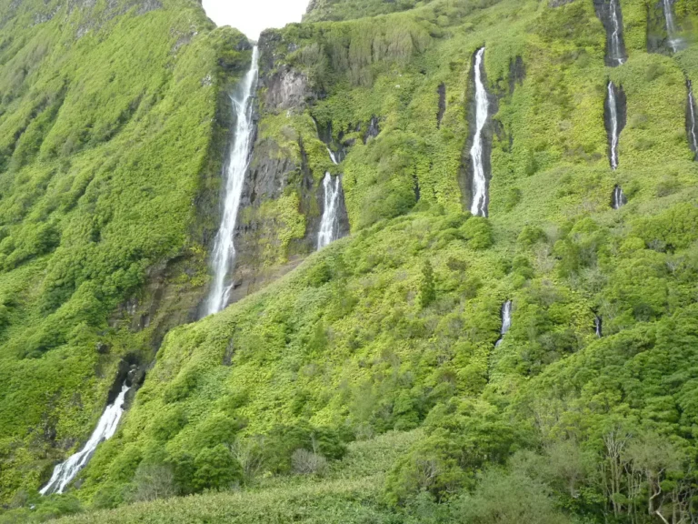 Na ilha das Flores – parte II