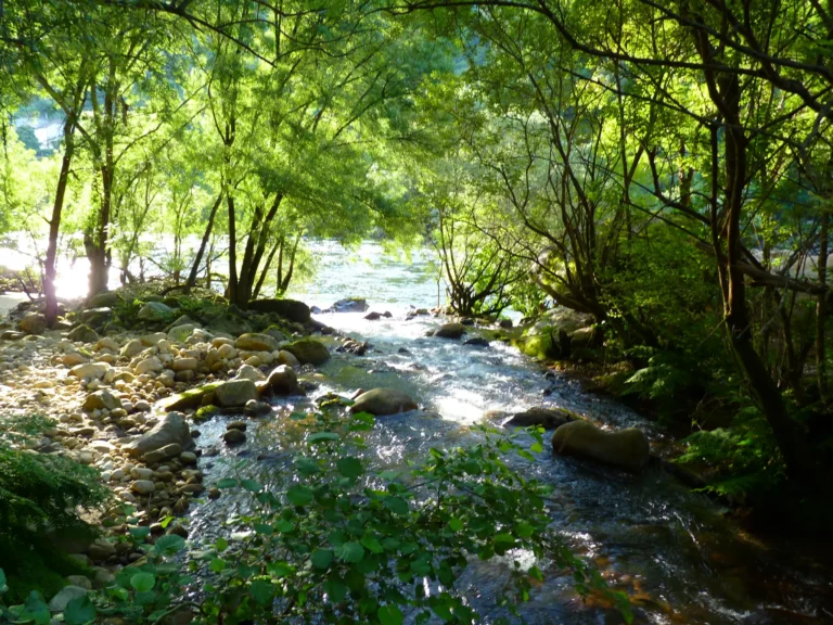 Cevide, onde Portugal começa