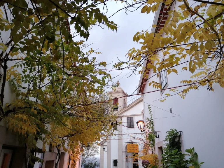 2020, um ano diferente