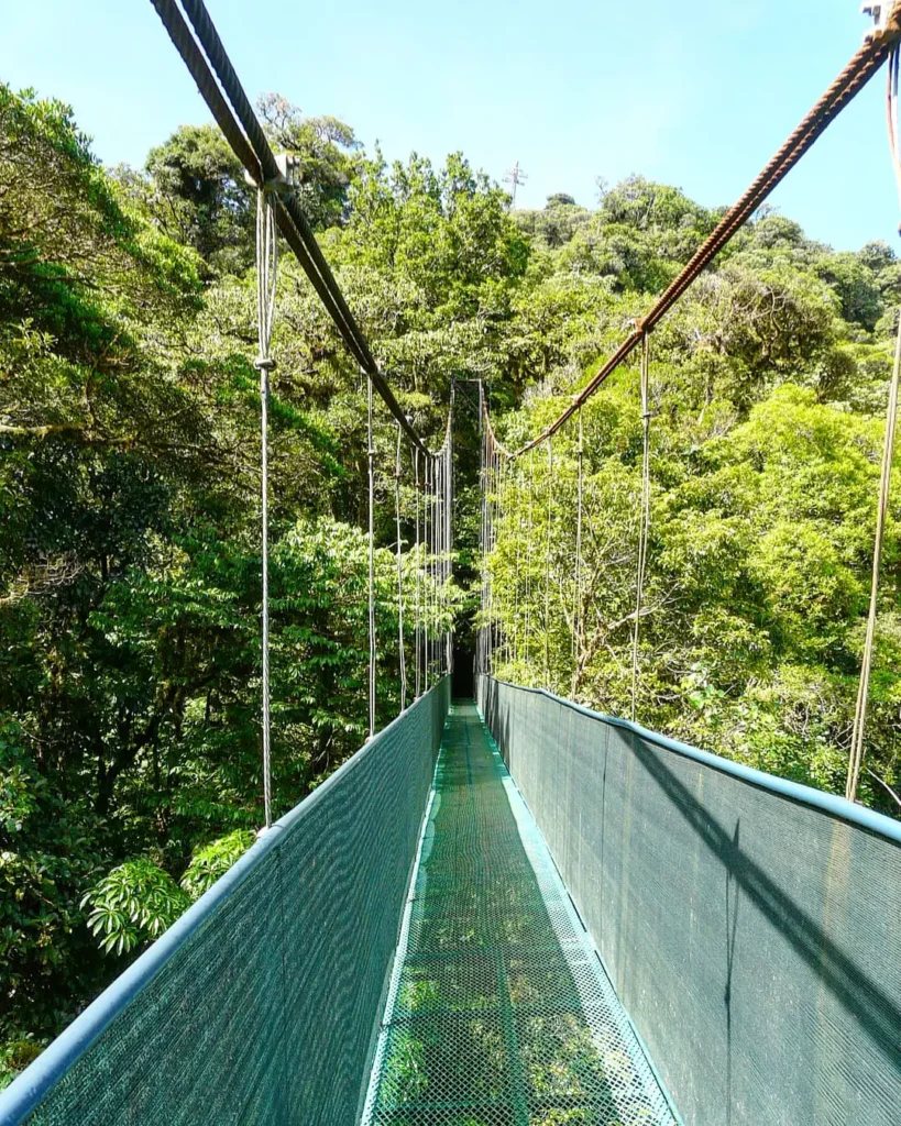 26 - Monteverde.jpg