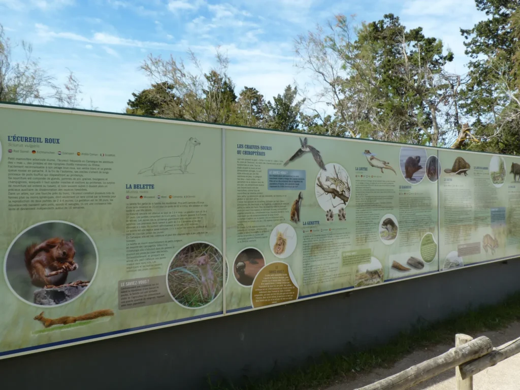 30 - Pont-de-Gau.JPG