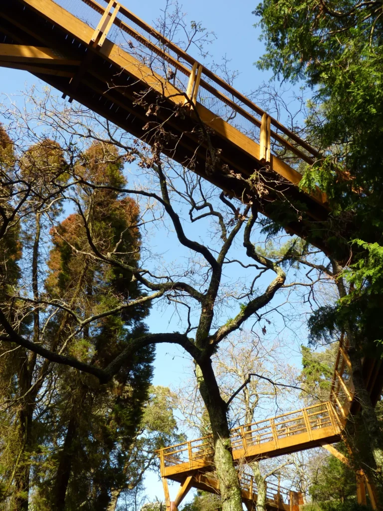 Serralves 17.JPG