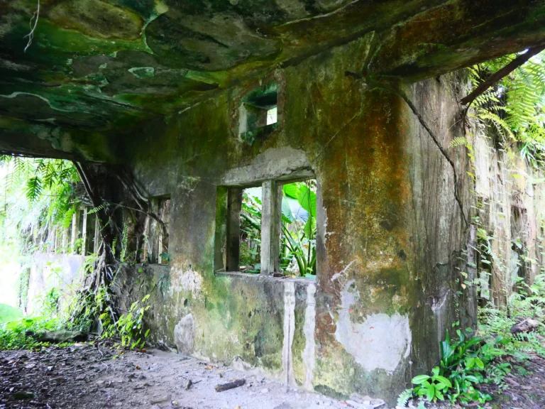 Ruínas (e o meu fascínio por lugares abandonados)