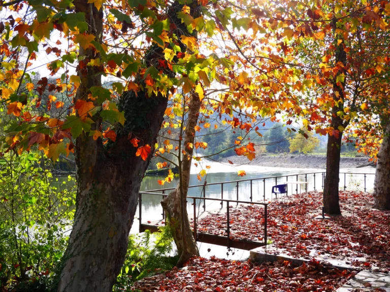 Coimbra, Lousã, Góis: cidade, serra e água num roteiro de 3 dias – parte 1
