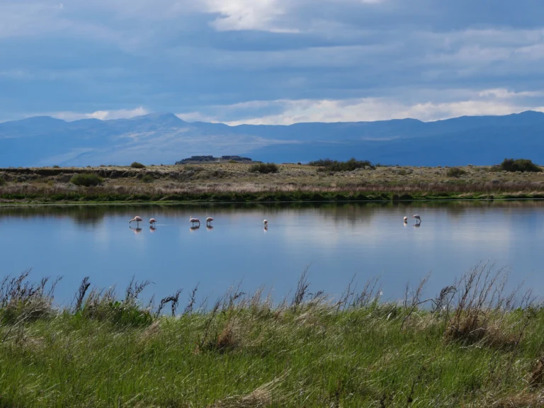 Viagens e sustentabilidade