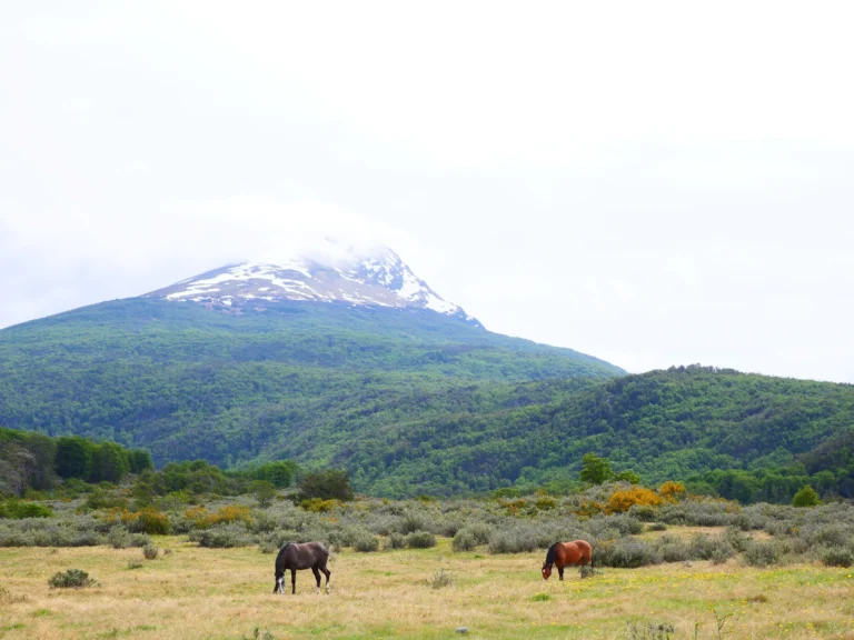 Patagónia, terra de contrastes – parte 1