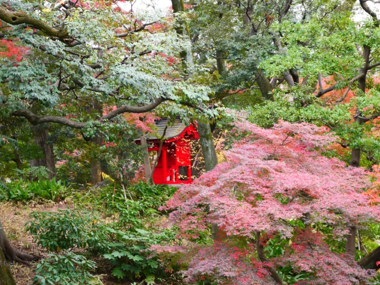 Dez conceitos para uma viagem ao Japão no Outono