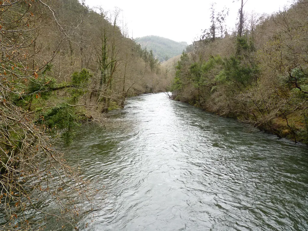 Fragas do Eume (5)