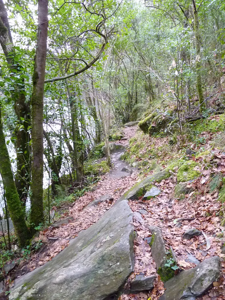 Fragas do Eume (22)