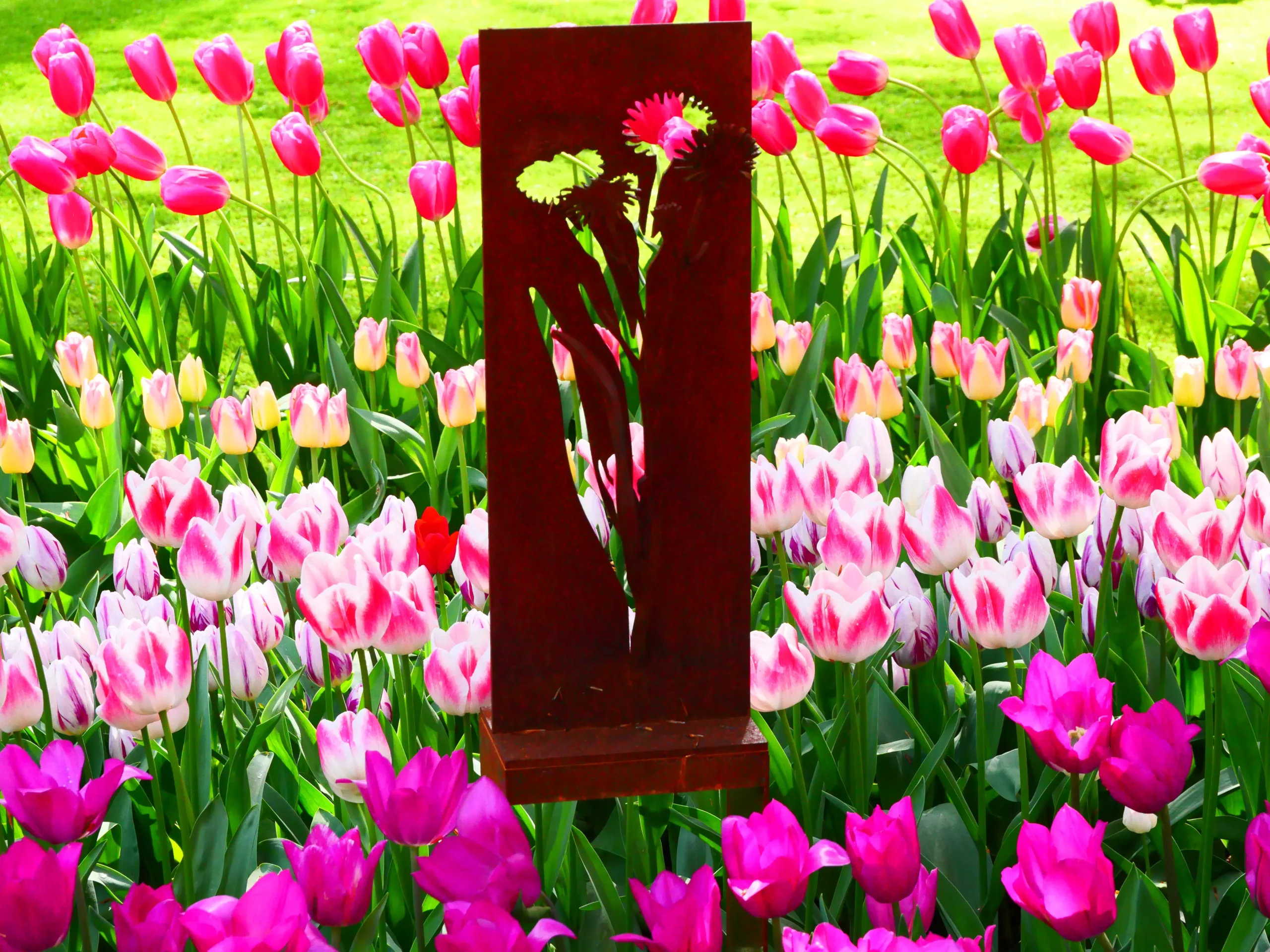 Keukenhof, a beleza do efémero